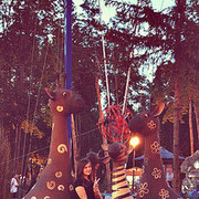 ���������� �������, ���� ������� ���������, 33 ����, ������������ ��� ������, ����� � ���������, c�������� ���������