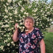  ,   , 55 ,   ,   