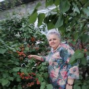 ���������� ����-������, ������� ��������, 59