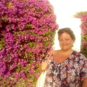  ,   , 53 ,   c 