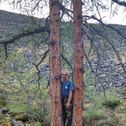  ,   , 59 ,   