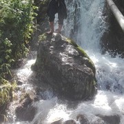  ,  Elyor, 38