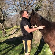 ���������� ����, ���� ������� ����, 34 ����, ������������ ��� ����� � ���������, c�������� ���������, ���������