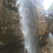 ���������� ����������, ���� ������� ���������, 49 ���, ������������ ��� ������, ����� � ���������, c�������� ���������