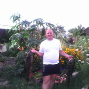 ���������� �����, ���� ������� ������, 42 ����, ������������ ��� ������, ����� � ���������, c�������� ���������