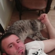 ���������� �������, ���� ������� ��������, 41 ���, ������������ ��� ����� � ���������, c�������� ���������, ���������