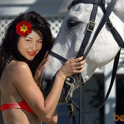 ���������� �������, ���� ������� �������, 44 ����, ������������ ��� ������, ����� � ���������, c�������� ���������