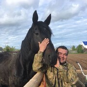 ���������� ������������, ���� ������� ������, 38 ���, ������������ ��� c�������� ���������