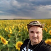 ���������� �����������, ���� ������� �����, 46 ���, ������������ ��� ����� � ���������, c�������� ���������