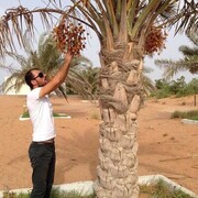 ���������� ������, ���� ������� ������, 37 ���, ������������ ��� ������, ����� � ���������