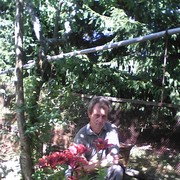  ,    , 52 ,   ,   , c 