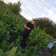 ���������� ����-���, ���� ������� ���������, 36 ���, ������������ ��� ������, ����� � ���������, c�������� ���������, ���������