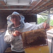 ���������� ���������, ���� ������� ������, 53 ����, ������������ ��� ������, ����� � ���������, c�������� ���������