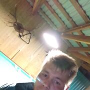 ���������� �����������, ���� ������� ������, 36 ���, ������������ ��� ������, ����� � ���������