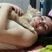 ���������� ������-��-����, ���� ������� ����, 23 ����, ������������ ��� c�������� ���������