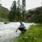  -,   , 38 ,   