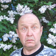 ���������� ����-�������, ������� ���������, 72