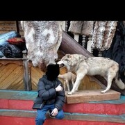  ,     , 19 ,     