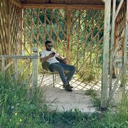  ,   Aro, 29 ,   ,   