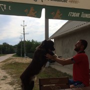 ���������� ������, ���� ������� �������, 35 ���, ������������ ��� ������, ����� � ���������, c�������� ���������