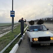 ���������� ���������, ������� ���������, 35