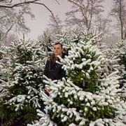 ���������� ������, ���� ������� ����, 43 ����, ������������ ��� ������, ����� � ���������