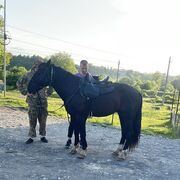  ,   Zaur, 32 ,   ,   