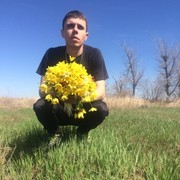  ,   , 28 ,   ,   , c 