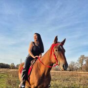 ���������� �������, ���� ������� �����, 51 ���, ������������ ��� c�������� ���������