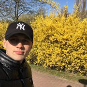  ,   , 28 ,     , c 