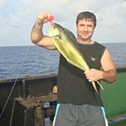  ,   Paata, 53 ,   ,   , c 