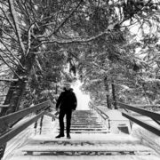 ���������� �����-���������, ���� ����� ���������, 25 ���, ������������ ��� ������, ����� � ���������