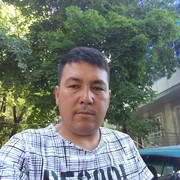  ,   , 41 ,   