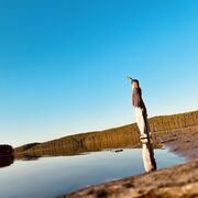 ���������� ������������, ���� ������� ������, 48 ���, ������������ ��� ������, ����� � ���������, c�������� ���������, ���������