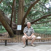  ,   , 71 ,   , 