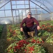 ���������� ����������, ���� ������� ������, 49 ���, ������������ ��� ����� � ���������, c�������� ���������