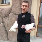 ���������� ����������, ���� ������� �������, 30 ���, ������������ ��� ������, ����� � ���������, c�������� ���������