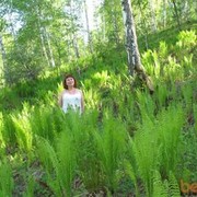  ,   , 54 ,     , c 