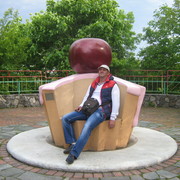  ,   , 47 ,   ,   , c 