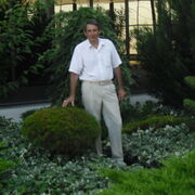 �������� �����. �������� 2015-2016?