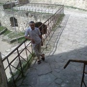  --,  viktor, 44