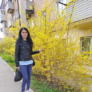  ,   , 34 ,   