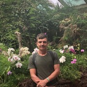  Rheinbreitbach,  , 42