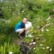 ���������� �������, ���� ������� �������, 39 ���, ������������ ��� ������, ����� � ���������, c�������� ���������