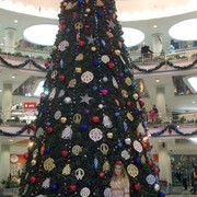 ���������� �����, ���� ������� ����, 49 ���, ������������ ��� ������, ����� � ���������, c�������� ���������