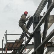 ���������� ����, ���� ������� �������, 37 ���, ������������ ��� ������, ����� � ���������