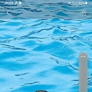  ,   , 39 ,   c 