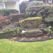 ���������� ��������, ���� ������� ����, 46 ���, ������������ ��� ������