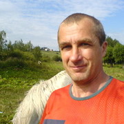  -,   Vitek, 79 ,   ,   , c 
