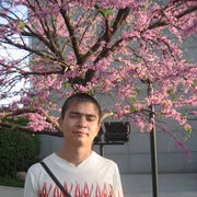 ���������� �������, ���� ������� ������, 36 ���, ������������ ��� ������, ����� � ���������